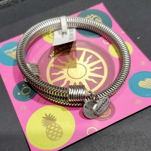 Alex and Ani Drift Snake 🐍Silvertone Wrap Brac